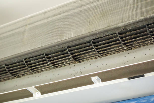 Best Ventilation Cleaning Services  in Cape Girardeau, MO